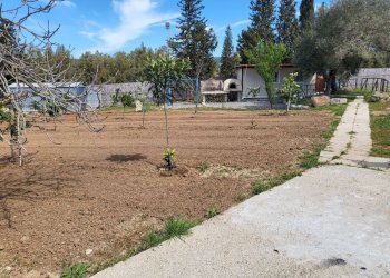 giardino - Agricultural land Medadeddu, Carbonia - photo 12