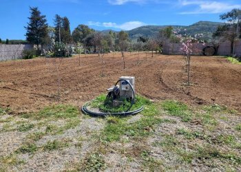 giardino - Agricultural land Medadeddu, Carbonia - photo 14