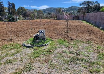 giardino - Agricultural land Medadeddu, Carbonia - photo 16