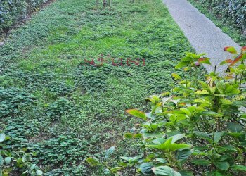 Foto 5 - Casa semi indipendente Grosseto - foto 5