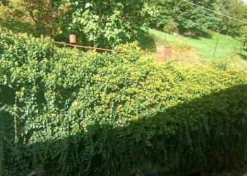 Terreno - Trilocale Frazione Savin, Gignod - foto 16