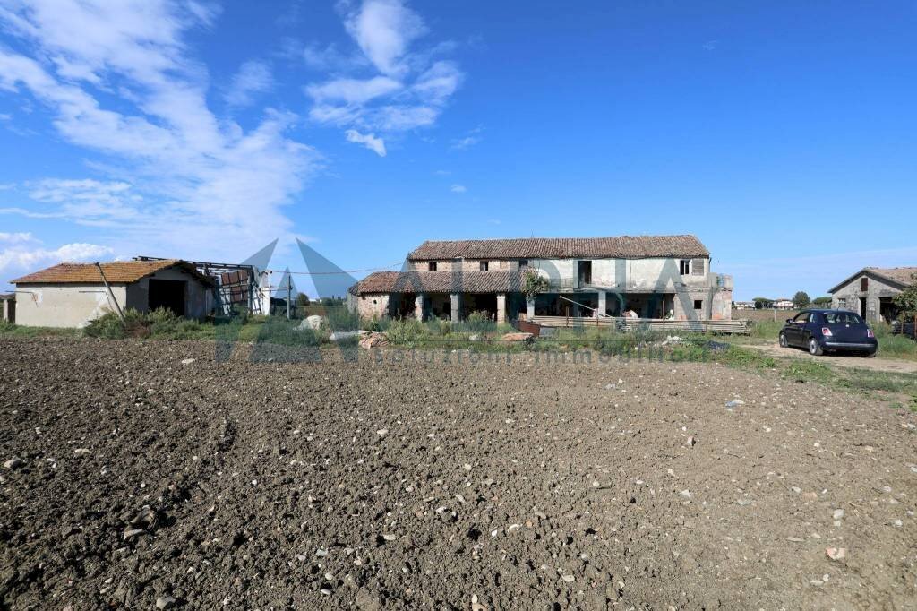 Terreno - Building land via Selve, San Mauro Pascoli - photo 1