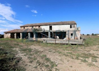 Terreno - Terreno edificabile via Selve, San Mauro Pascoli - foto 2