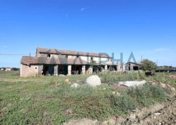 Terreno - Terreno edificabile via Selve, San Mauro Pascoli - foto 3