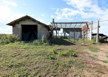 Terreno - Terreno edificabile via Selve, San Mauro Pascoli - foto 7