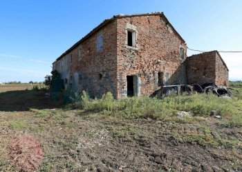 Terreno - Terreno edificabile via Selve, San Mauro Pascoli - foto 8