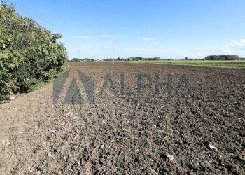 Terreno - Terreno edificabile via Selve, San Mauro Pascoli - foto 9