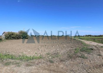 Terreno - Terreno edificabile via Selve, San Mauro Pascoli - foto 10