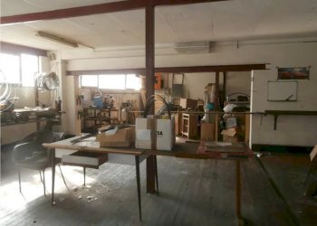 Capannone - Capannone Carasco - foto 4