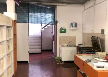 Capannone - Capannone Carasco - foto 5