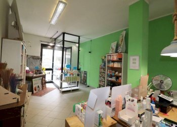 Shop Trofarello - photo 24