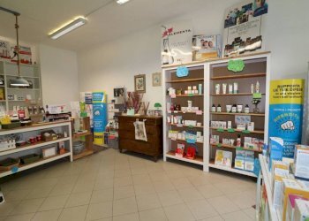 Shop Trofarello - photo 25