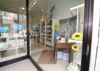 Shop Trofarello - photo 31