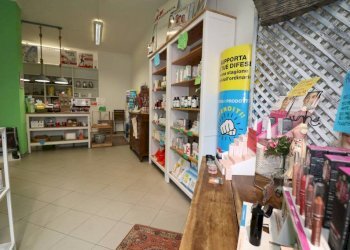 Shop Trofarello - photo 37