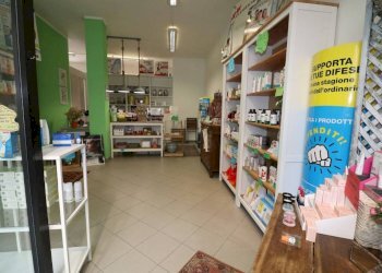 Shop Trofarello - photo 38