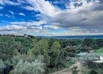 Casale Città della Pieve - photo 10