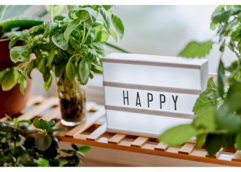 Mansarda Via Cento, San Giovanni in Persiceto - foto 18