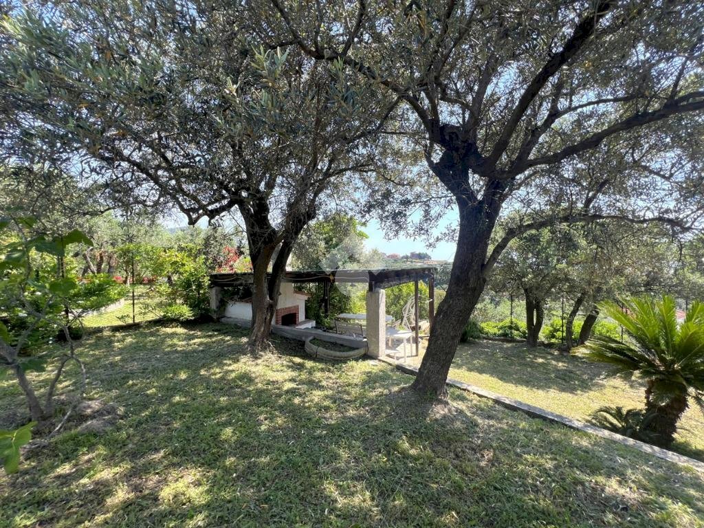 Terreno agricolo Via Colle, Boissano - foto 3