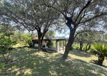 Terreno agricolo Via Colle, Boissano - foto 3