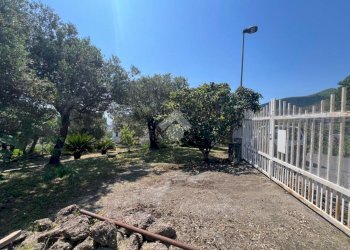 Terreno agricolo Via Colle, Boissano - foto 4