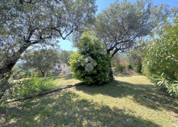 Terreno agricolo Via Colle, Boissano - foto 7