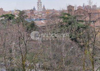 Trilocale Modena (zona Circoscrizione 1) - foto 3