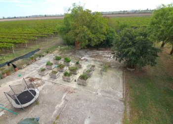 Independent house Via Bernolda, Fabbrico - photo 27