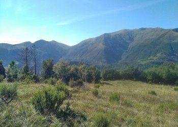 Foto 2 - Terreno agricolo Via Giuseppe Gazzino, Genova - foto 2