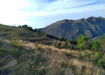 Foto 3 - Terreno agricolo Via Giuseppe Gazzino, Genova - foto 3