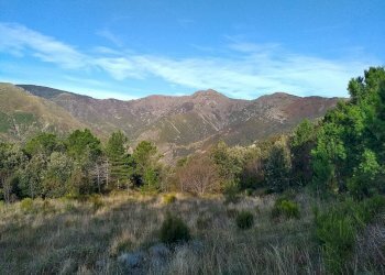 Foto 4 - Terreno agricolo Via Giuseppe Gazzino, Genova - foto 4