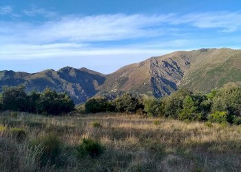Foto 5 - Terreno agricolo Via Giuseppe Gazzino, Genova - foto 5