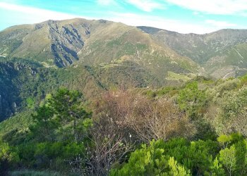 Foto 6 - Terreno agricolo Via Giuseppe Gazzino, Genova - foto 6