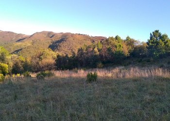 Foto 9 - Terreno agricolo Via Giuseppe Gazzino, Genova - foto 9