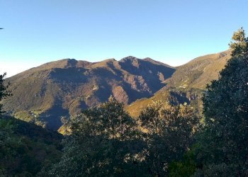 Foto 11 - Terreno agricolo Via Giuseppe Gazzino, Genova - foto 11