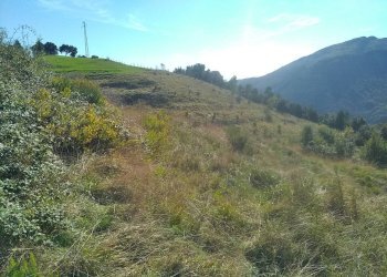 Foto 12 - Terreno agricolo Via Giuseppe Gazzino, Genova - foto 12