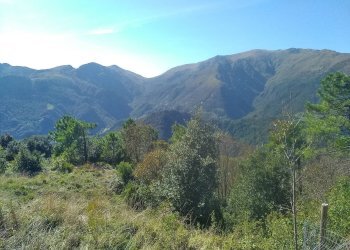 Foto 13 - Terreno agricolo Via Giuseppe Gazzino, Genova - foto 13