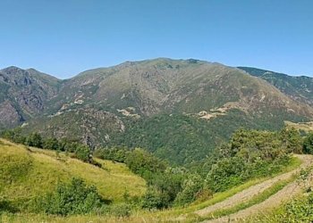 Foto 14 - Terreno agricolo Via Giuseppe Gazzino, Genova - foto 14