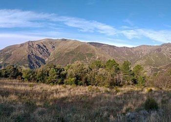 Foto 16 - Terreno agricolo Via Giuseppe Gazzino, Genova - foto 16