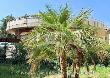 Foto 6 - Commercial Premises Maltignano - photo 6