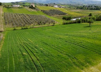 Foto 1 - Terreno agricolo Contrada Ripacorbaria, Manoppello - foto 1