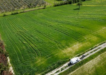 Foto 4 - Terreno agricolo Contrada Ripacorbaria, Manoppello - foto 4