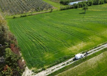 Foto 6 - Terreno agricolo Contrada Ripacorbaria, Manoppello - foto 6