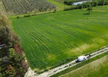 Foto 7 - Terreno agricolo Contrada Ripacorbaria, Manoppello - foto 7