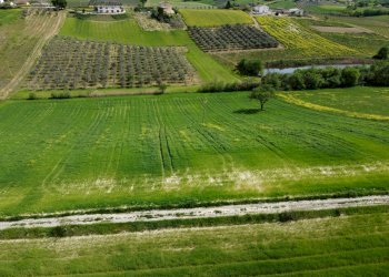 Foto 12 - Terreno agricolo Contrada Ripacorbaria, Manoppello - foto 12