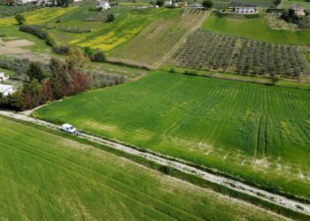 Foto 13 - Terreno agricolo Contrada Ripacorbaria, Manoppello - foto 13