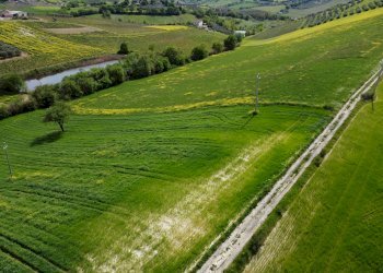 Foto 14 - Terreno agricolo Contrada Ripacorbaria, Manoppello - foto 14