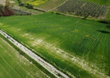 Foto 15 - Terreno agricolo Contrada Ripacorbaria, Manoppello - foto 15