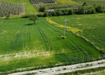 Foto 17 - Terreno agricolo Contrada Ripacorbaria, Manoppello - foto 17