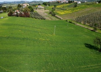Foto 19 - Terreno agricolo Contrada Ripacorbaria, Manoppello - foto 19