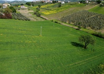 Foto 20 - Terreno agricolo Contrada Ripacorbaria, Manoppello - foto 20